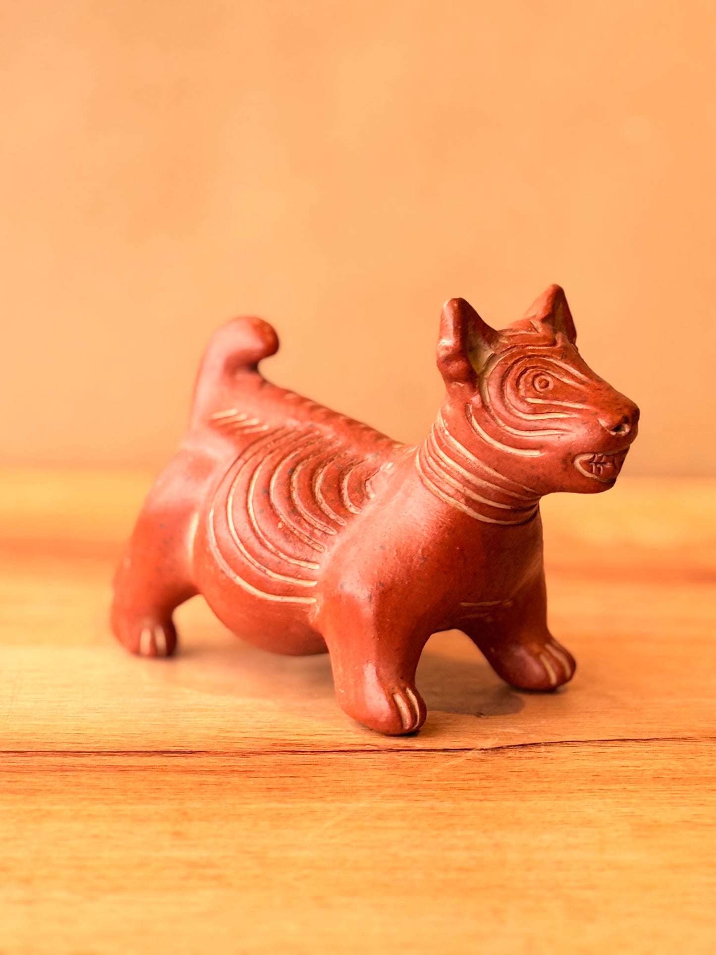 Perrito arrugado xolo mediano rojo