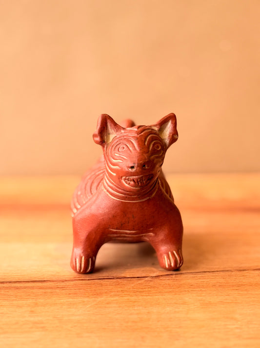 Perrito arrugado xolo mediano rojo