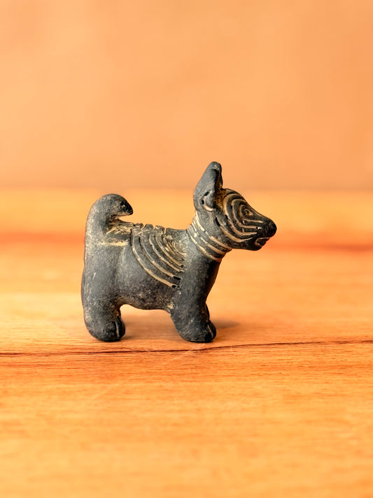 Perrito arrugado xolo negro