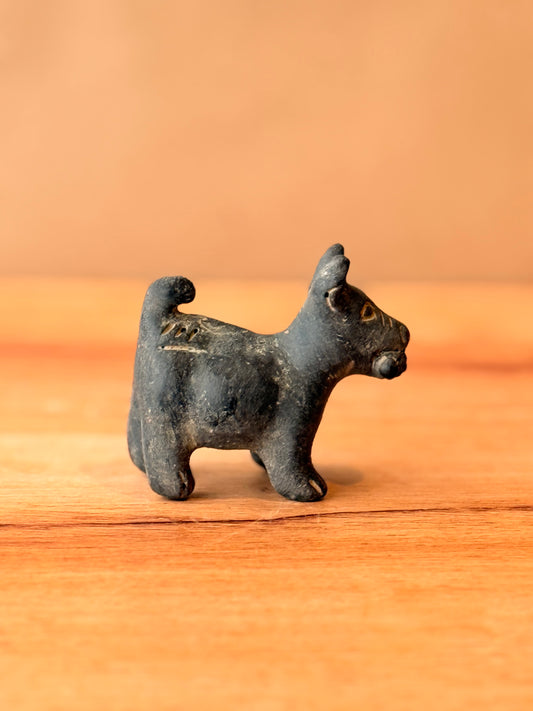 Perrito xolo negro con mazorca