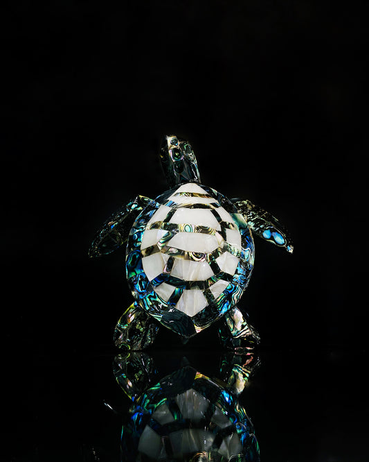 Tortuga de concha de abulón