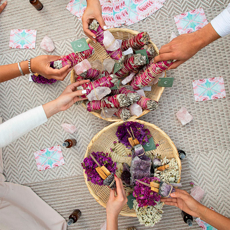 salvia bundle amatista