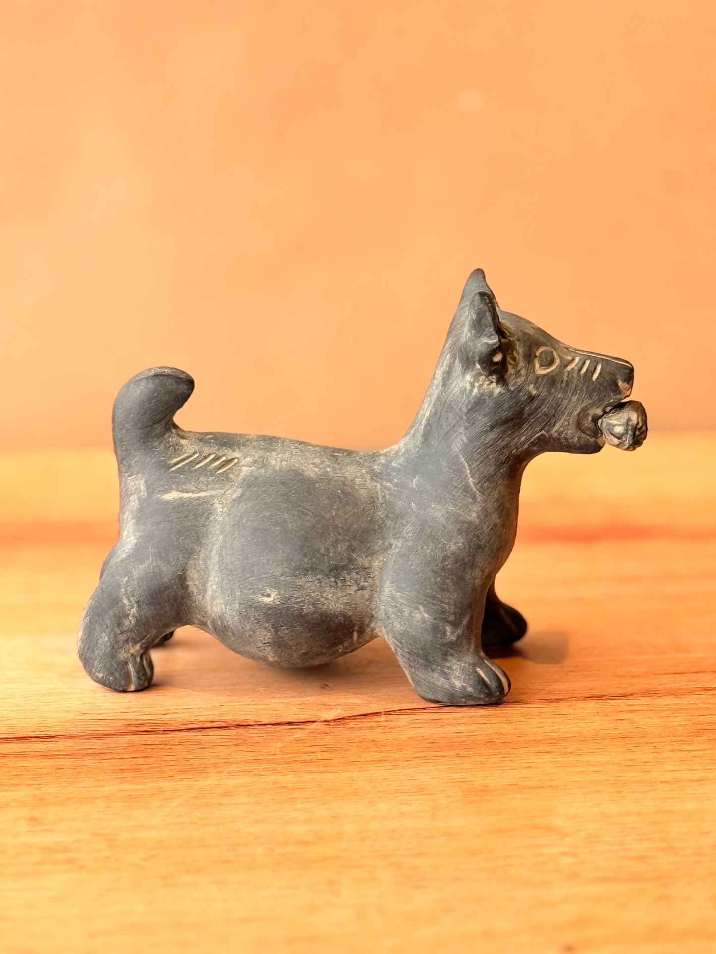 Perrito xolo mediano negro con mazorca
