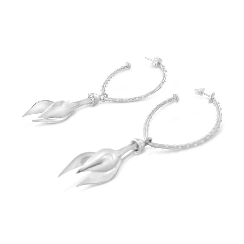 aretes nivalis