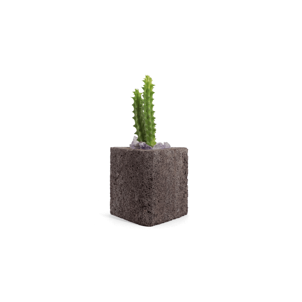 Maceta llama