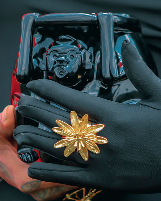 Pasionaria anillo chapa