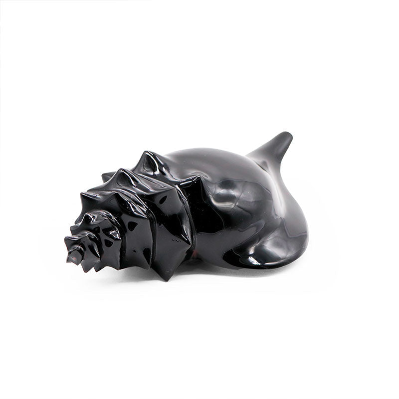 Caracol mediano obsidiana arcoíris