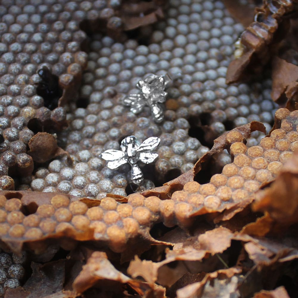 broqueles abeja melipona chicos