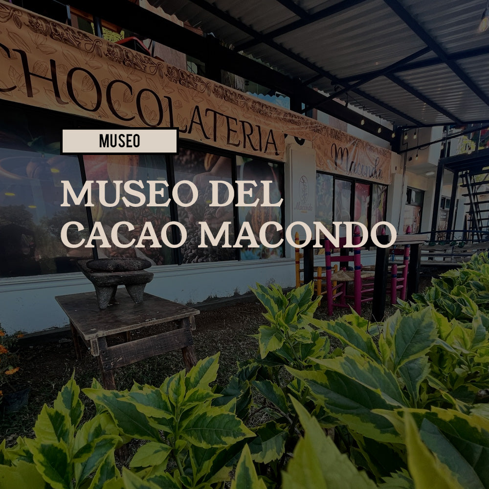 Visita cultural Teotihuacán