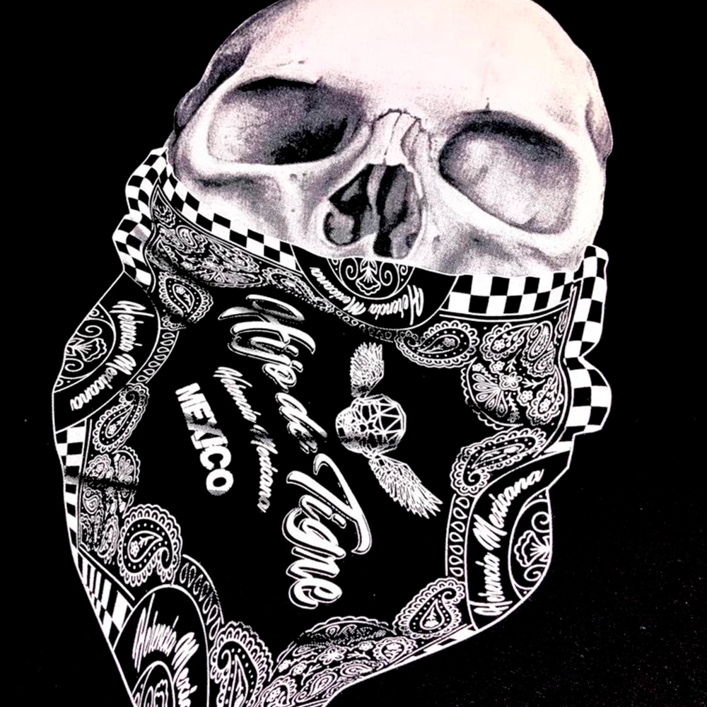playera calavera paliacate