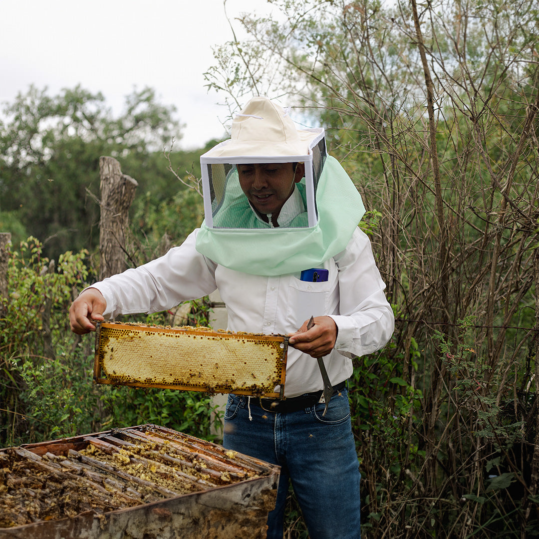 Miel multiflora región volcanes 650 gr
