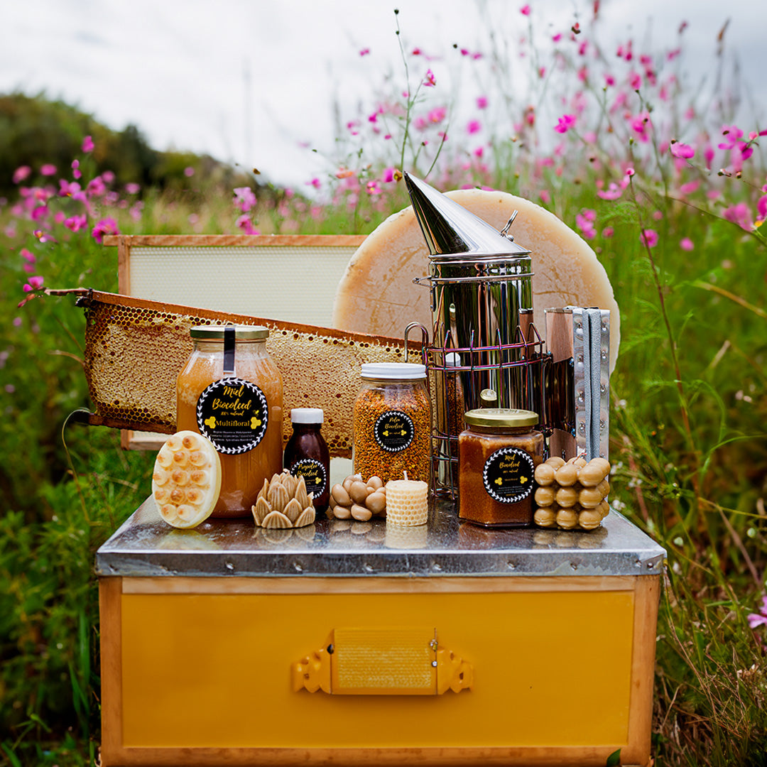 Miel multiflora región volcanes 350 gr