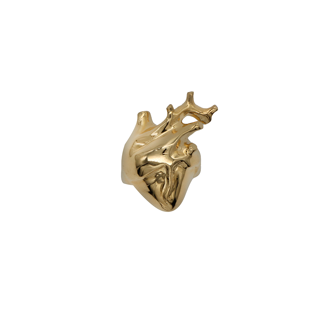 Anillo corazón anatómico chapa