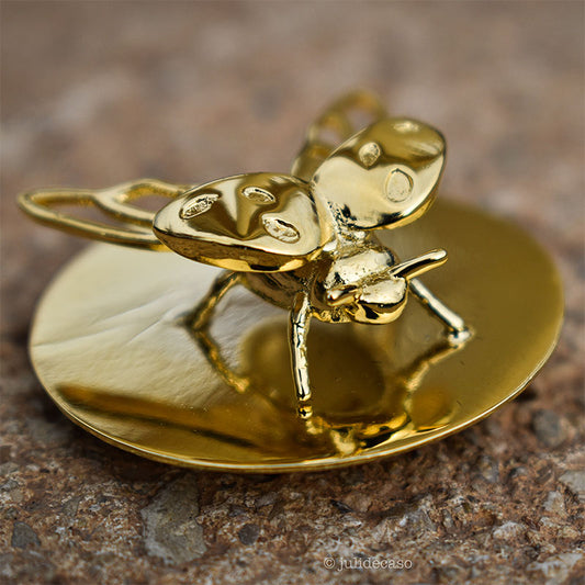 anillo y broche catarina