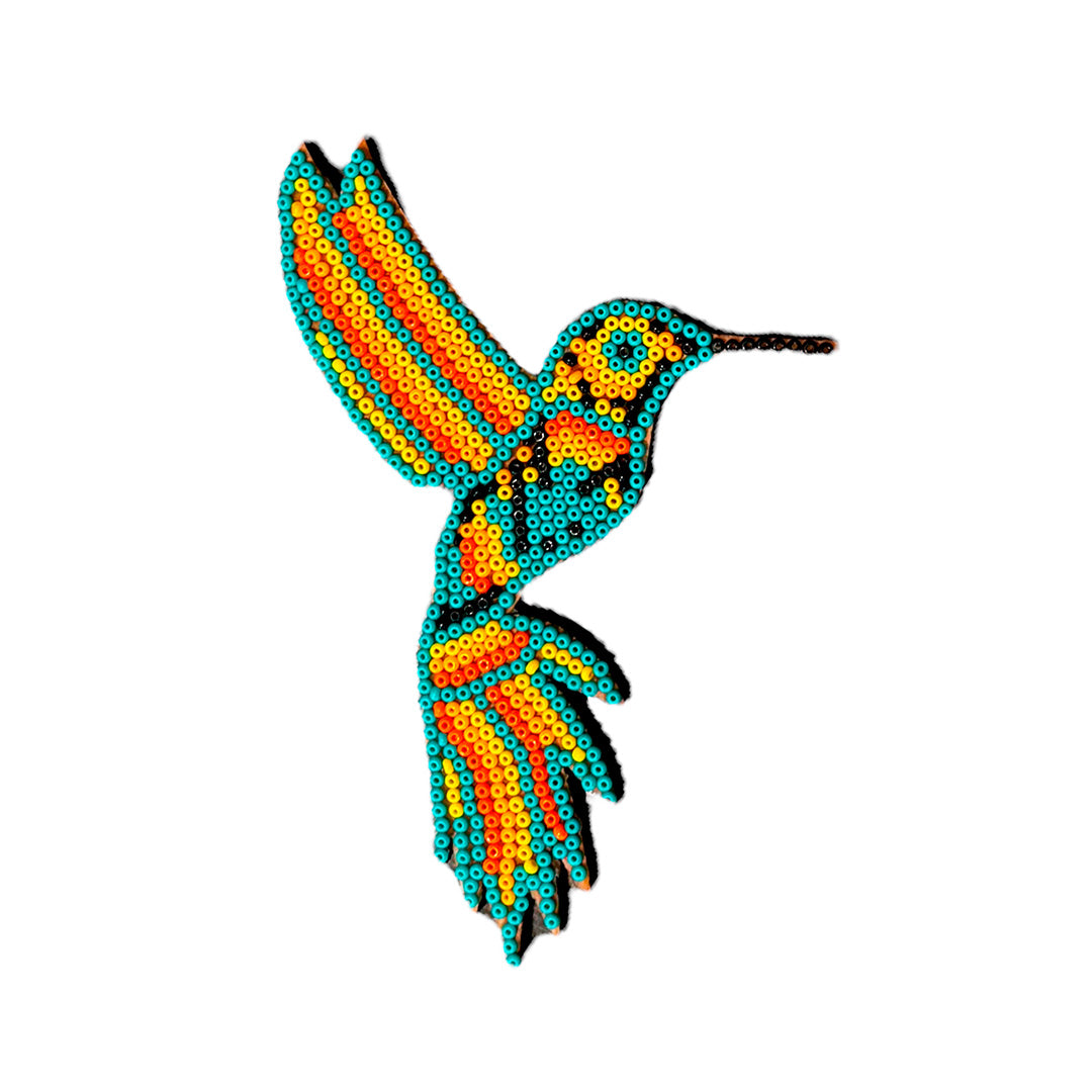 Imán colibrí agua