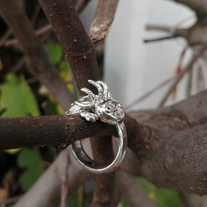 Anillo ajolote alebrije