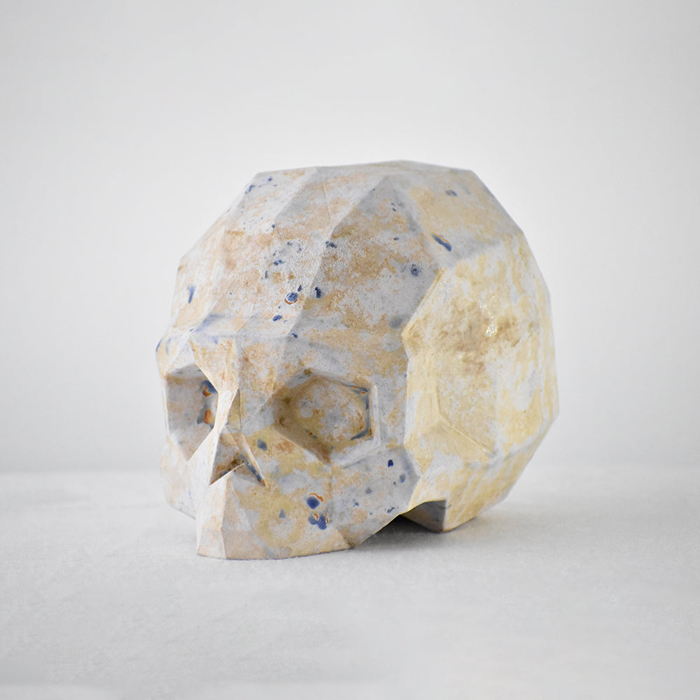 cráneo facetado jardin raku