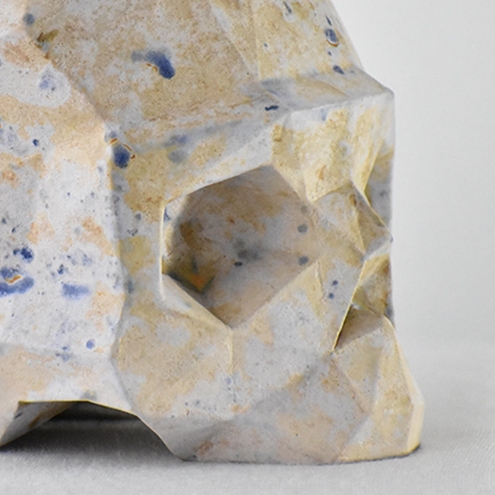 cráneo facetado jardin raku