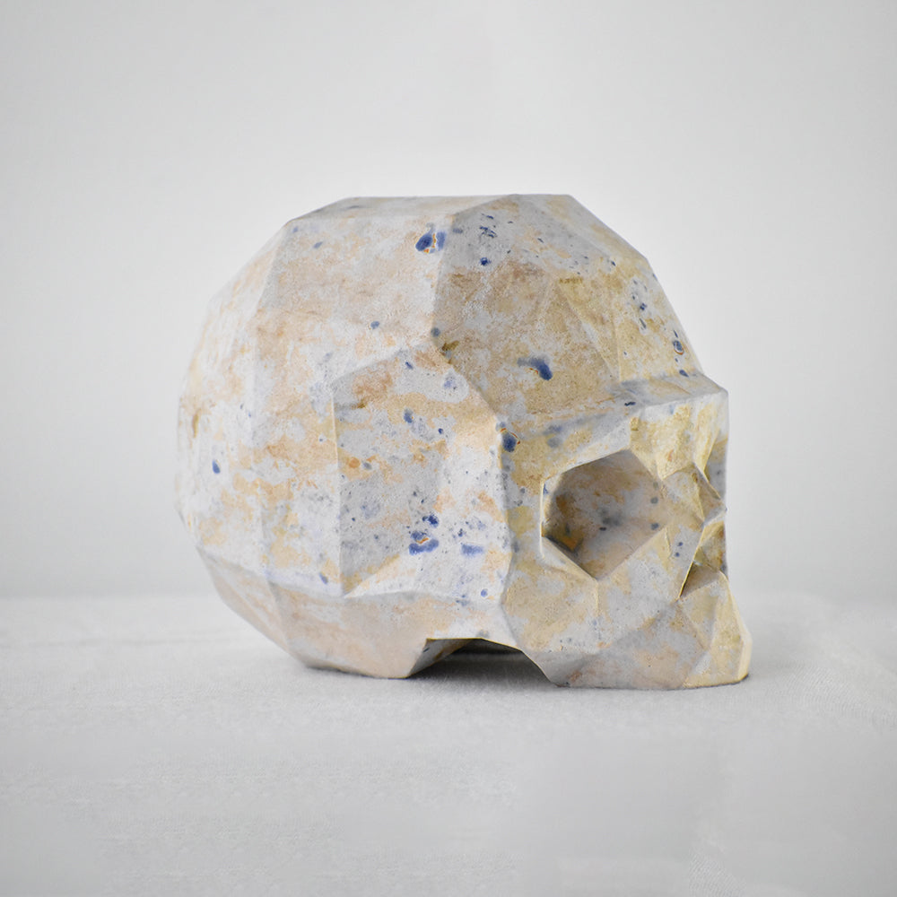 cráneo facetado jardin raku