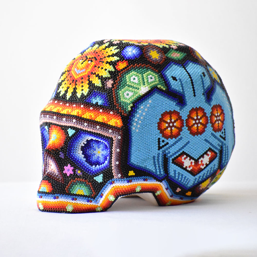 cráneo huichol soles
