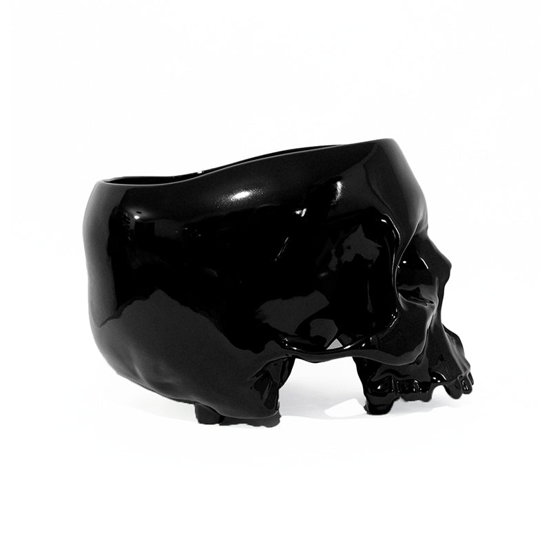 cráneo maceta gigante