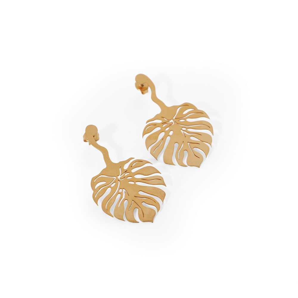 broquel leaf love monstera