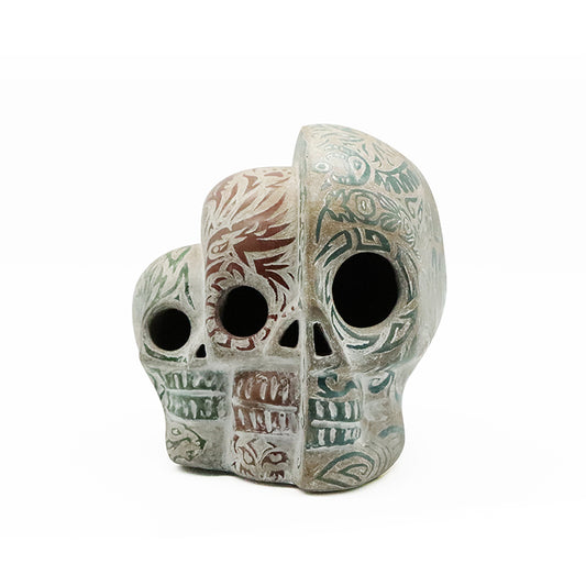 cráneo 3 generaciones