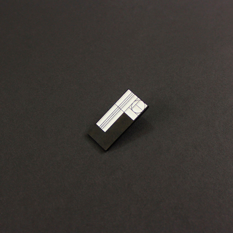 pin puerta nayarit