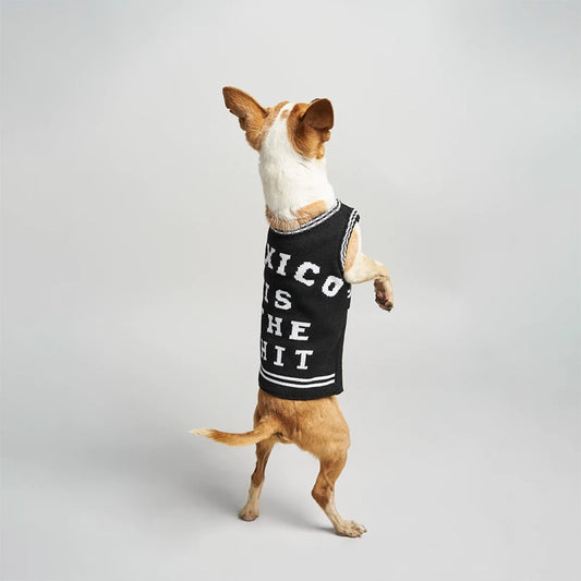 sueter mascota MEXICO IS THE SHIT