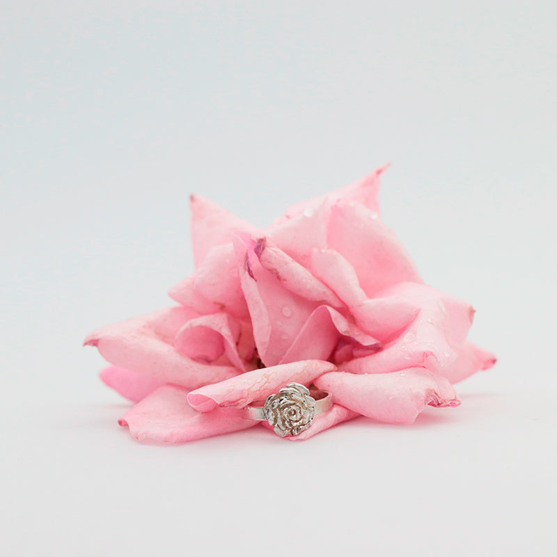 anillo rosa silueta