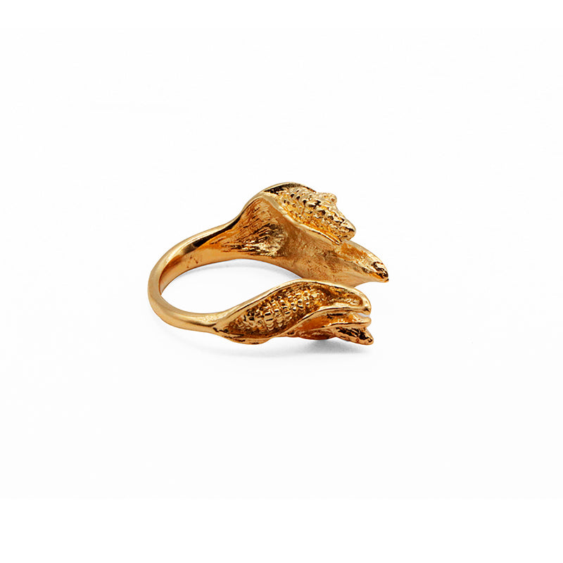 anillo hijos del maiz