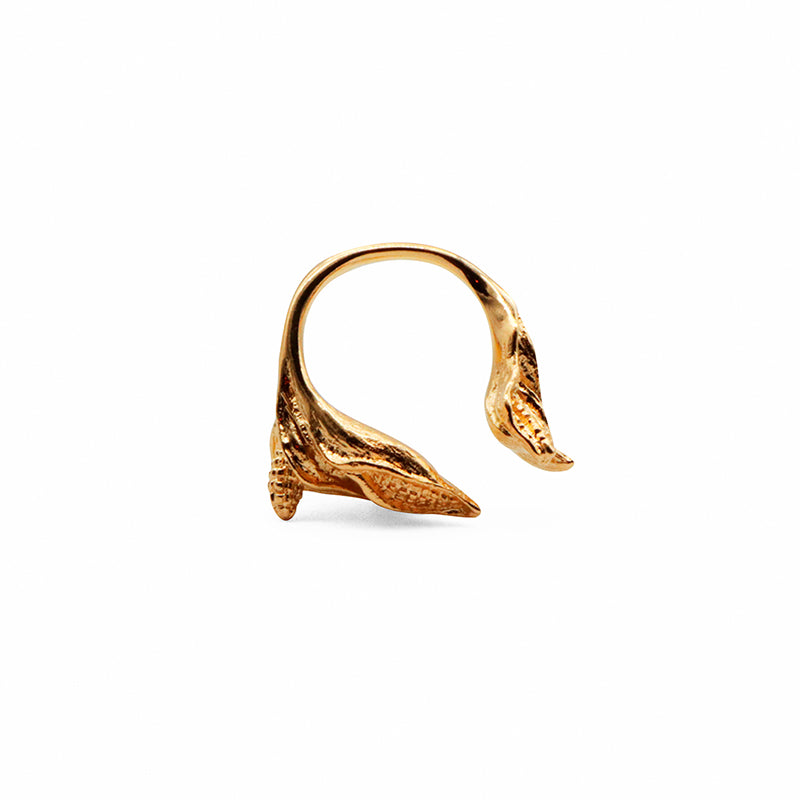 anillo hijos del maiz