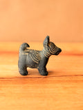 Perrito arrugado xolo negro