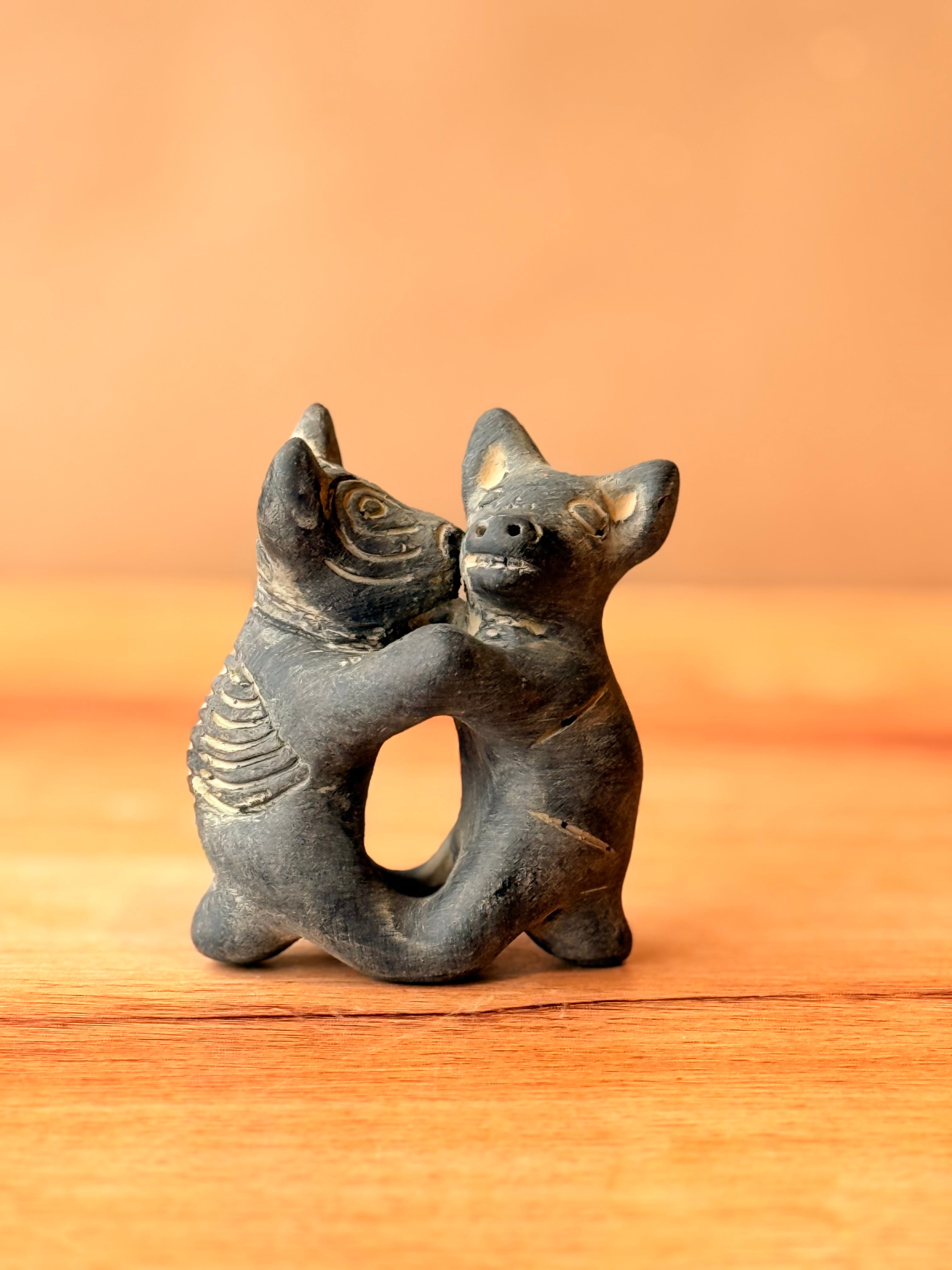 Baile de perritos xolos negro