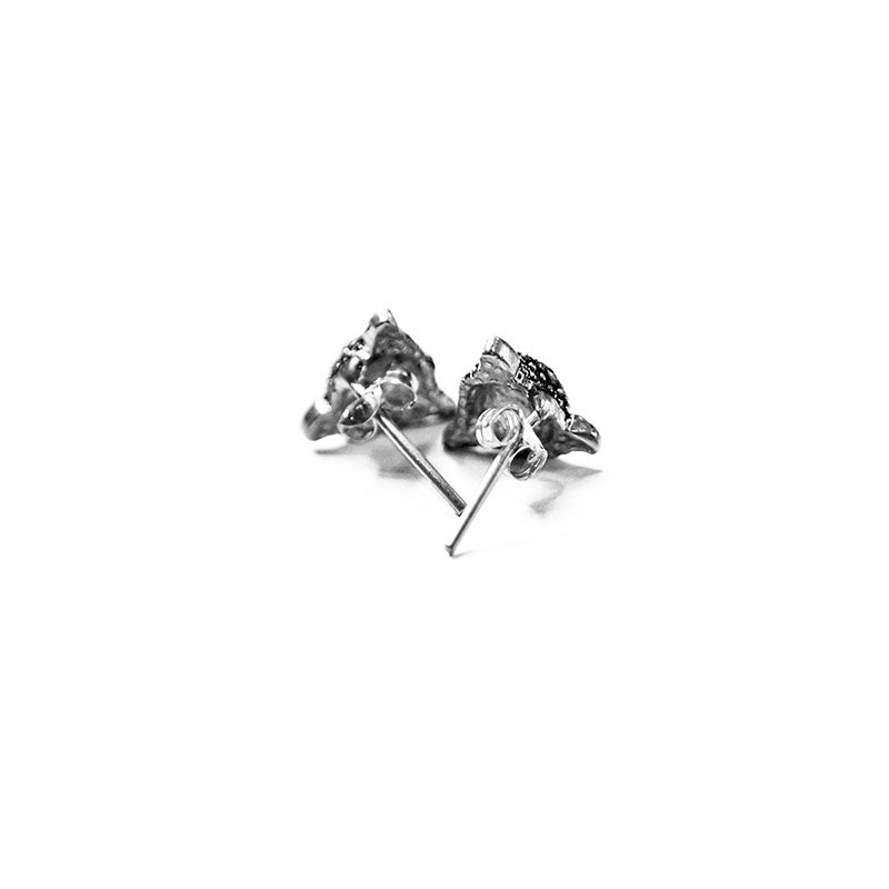 aretes cacomixtle azul