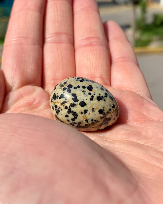 Huevos mini o Yoni de jaspe dálmata
