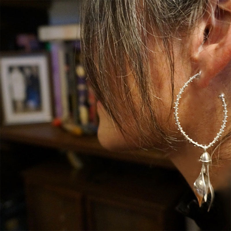 aretes nivalis