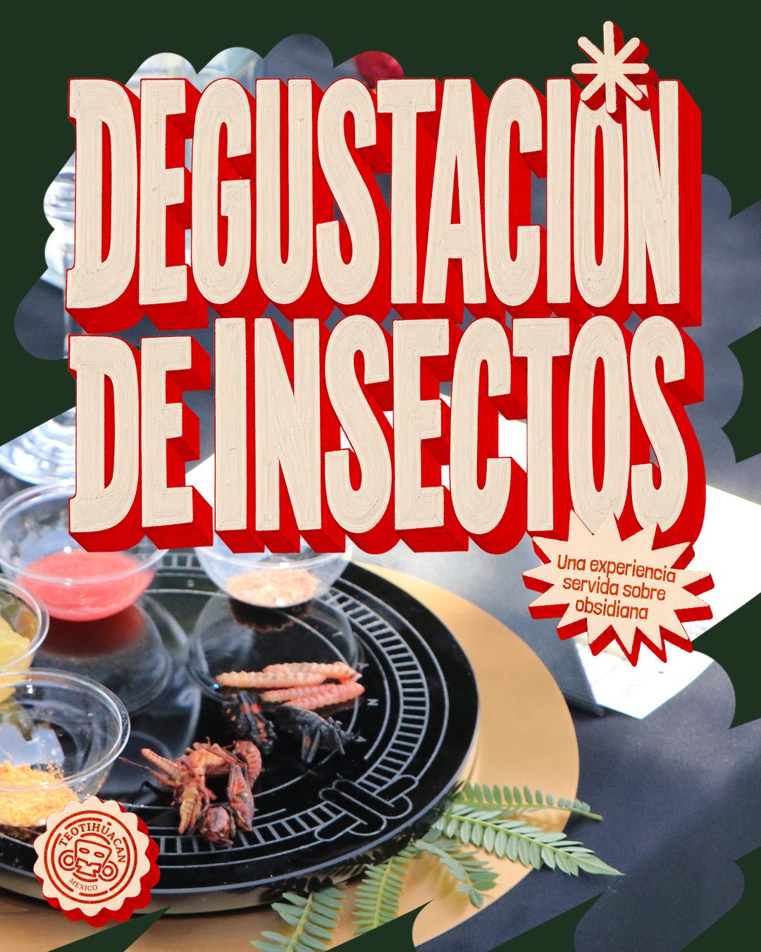 Degustación de insectos
