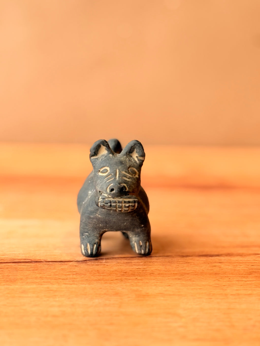 Perrito xolo negro con mazorca