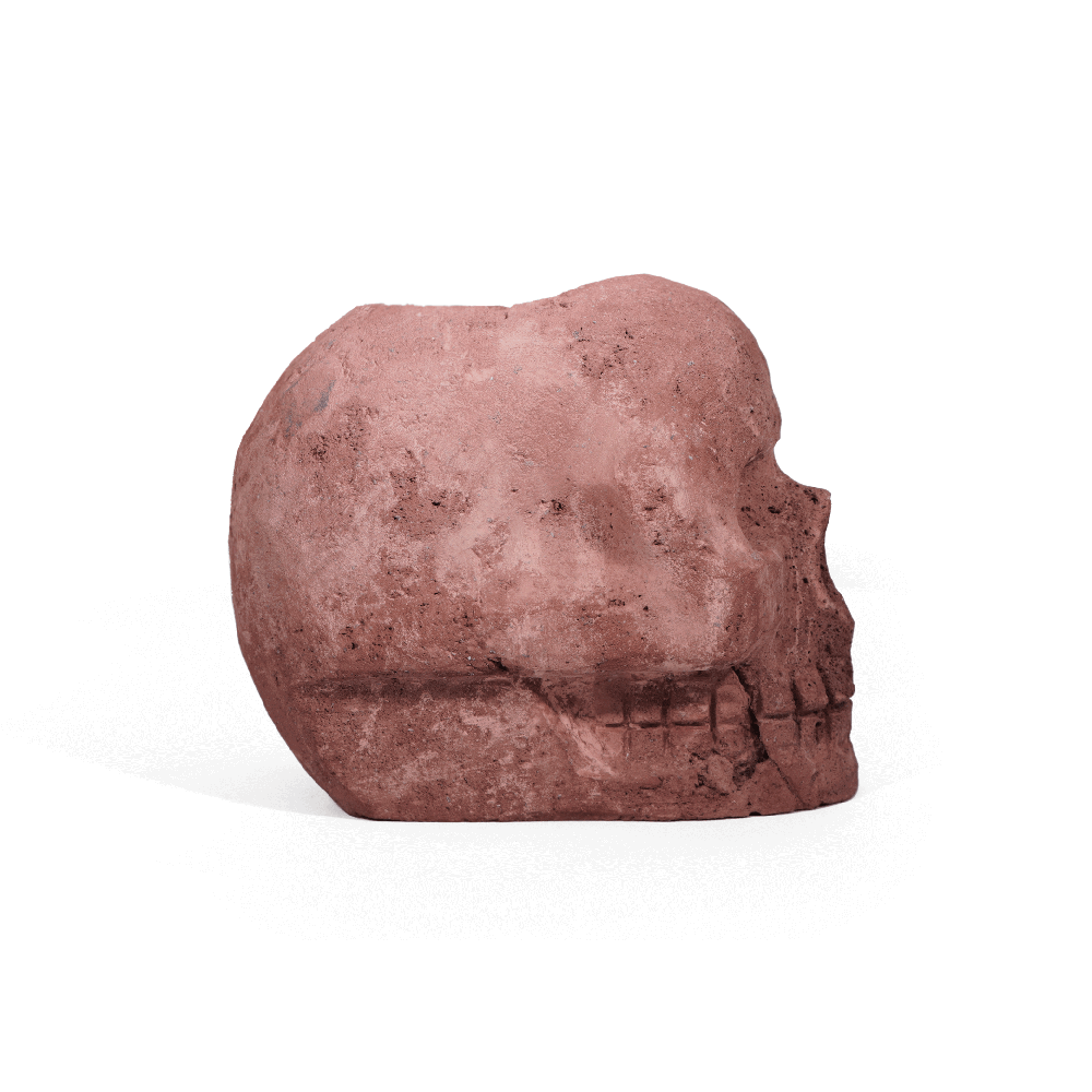 P-skull