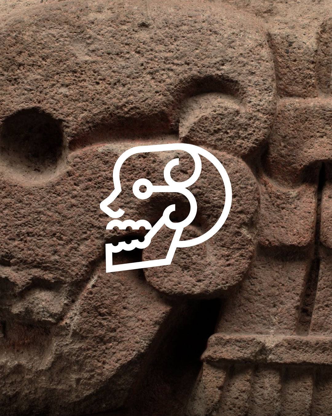 Gorra informal cráneo