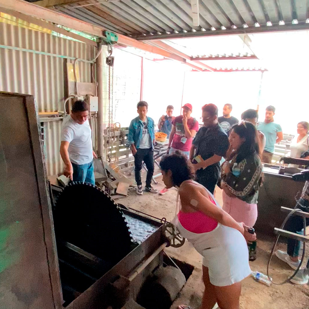 Visita Guiada TALLER DE OBSIDIANA®