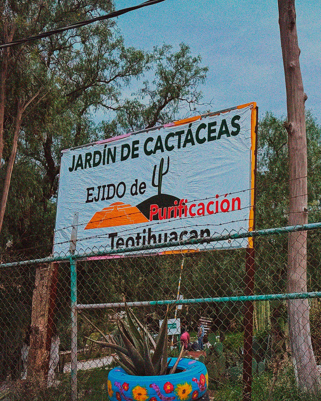 Voces del fuego