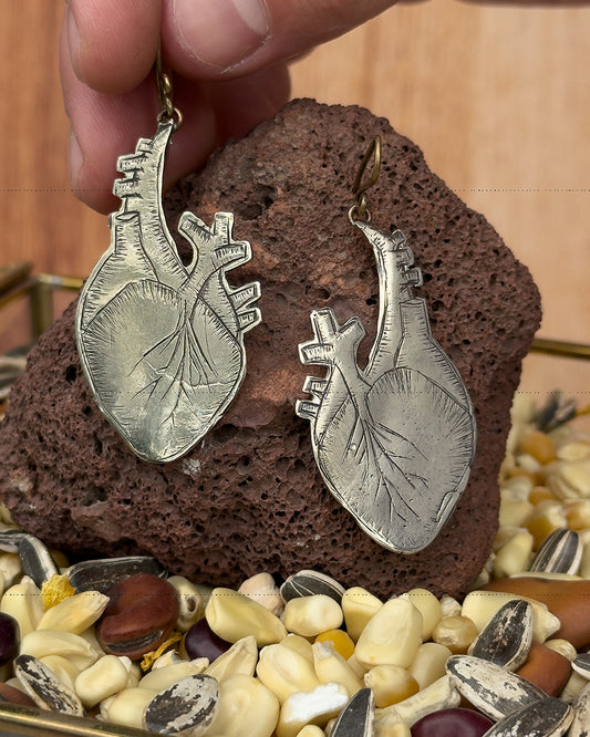 Aretes corazón anatómico