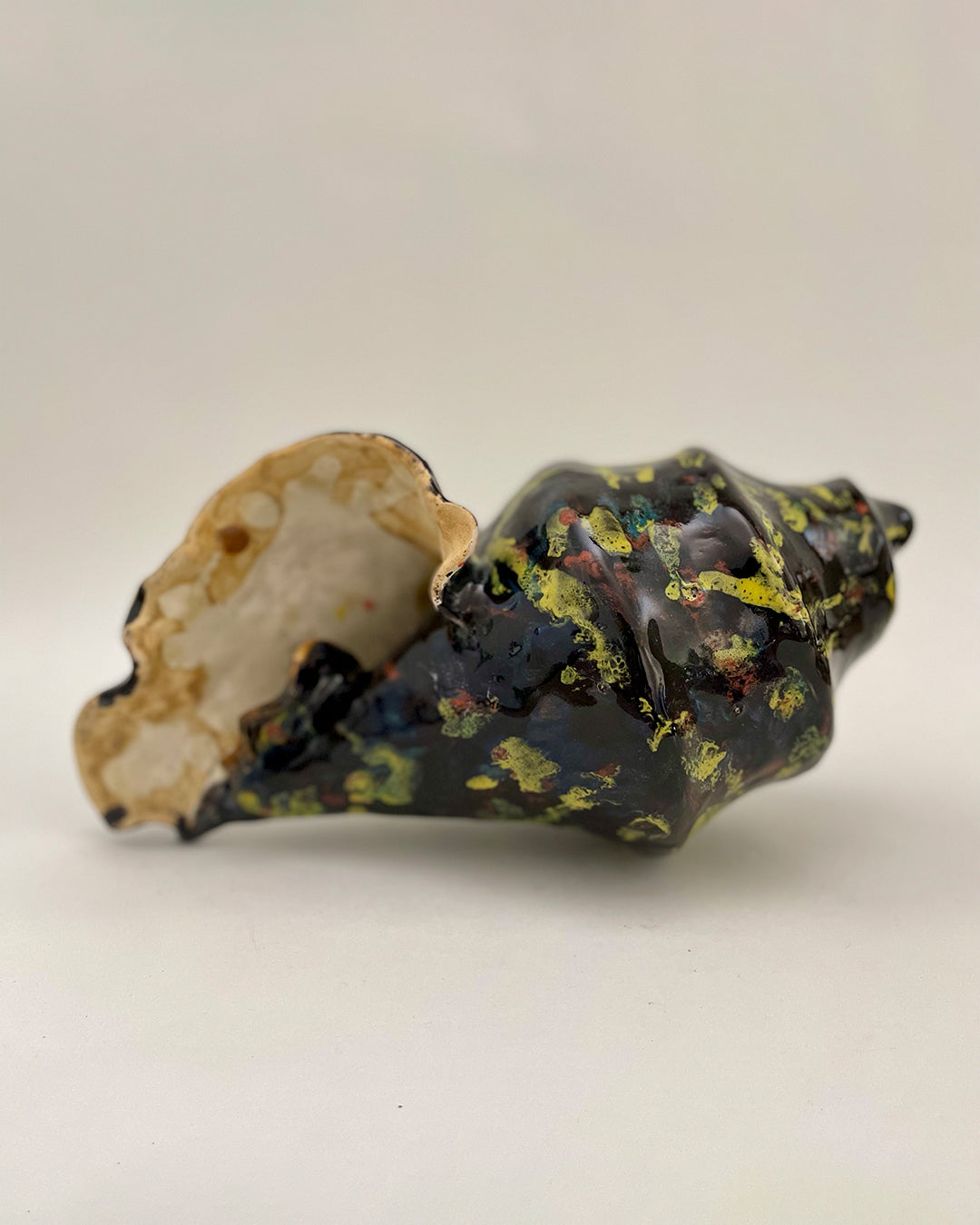 caracola salpicada