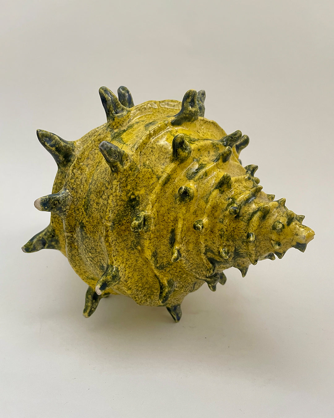 caracola solar