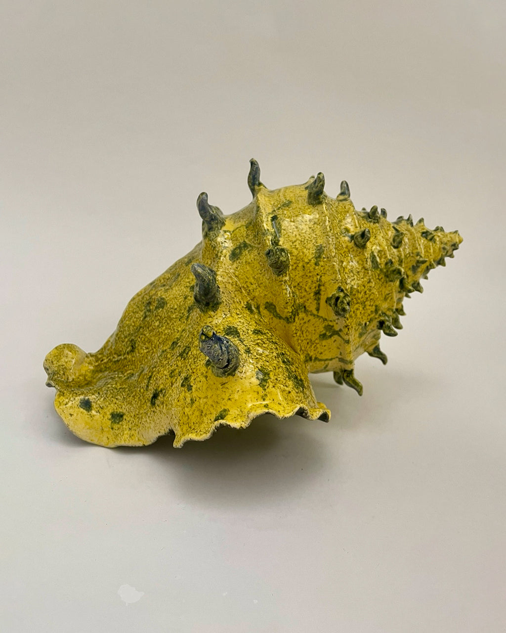 caracola solar
