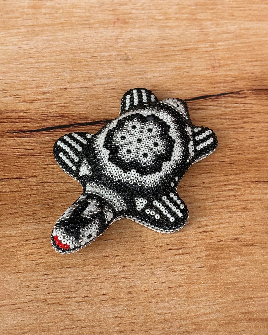 Tortuga chica Negro/blanco