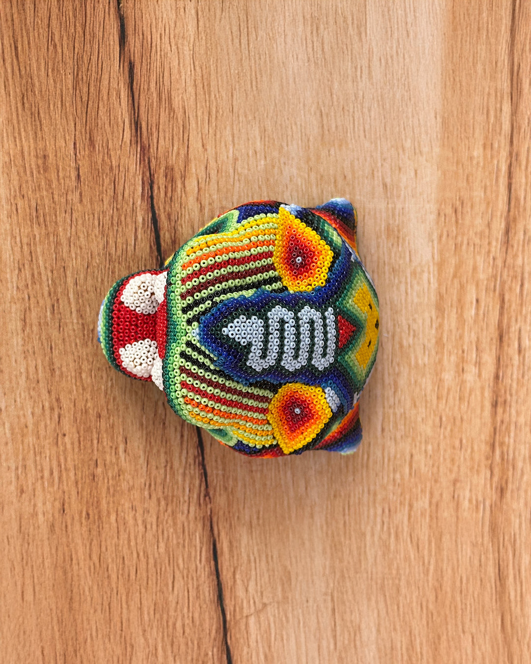 Cabeza jaguar multicolor C