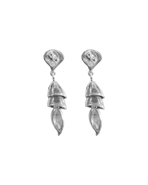 aretes cacomixtle XL